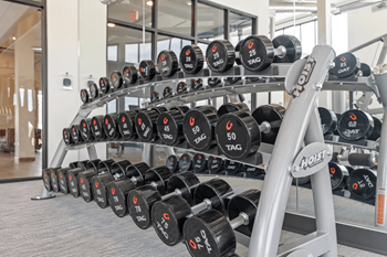 Rack of dumbbells in gym